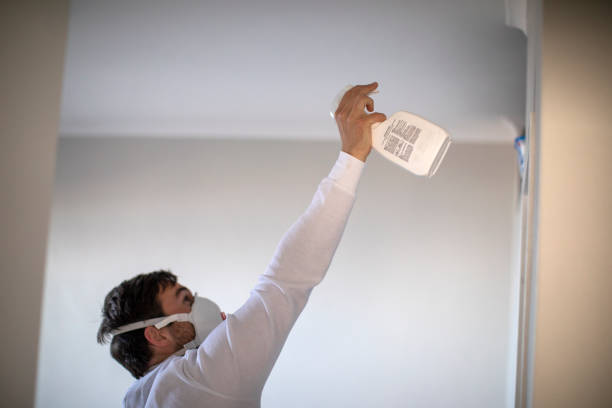 Best Basement Mold Remediation in Hinton, OK