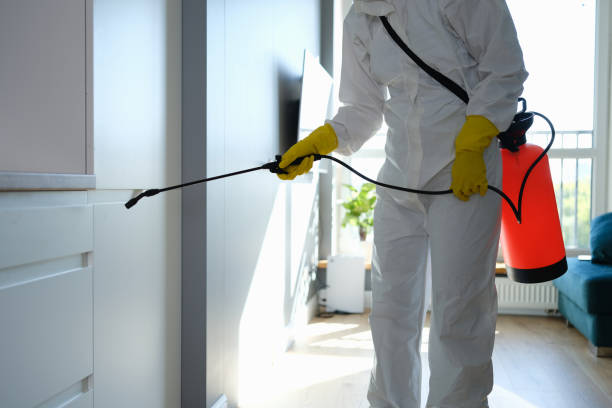 Best Crawl Space Mold Remediation in Hinton, OK