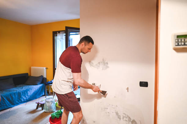 Best DIY Mold Remediation Support Services in Hinton, OK