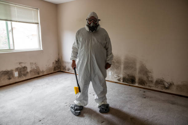 Best Mold Testing and Inspection Services in Hinton, OK